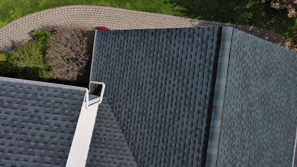 Best Sheet Metal Roofing  in Western Springs, IL